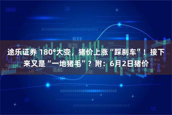 途乐证券 180°大变，猪价上涨“踩刹车”！接下来又是“一地猪毛”？附：6月2日猪价